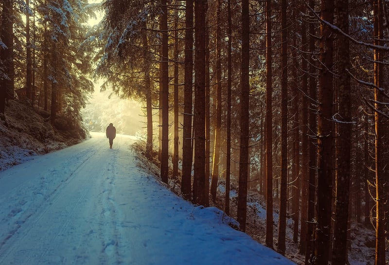Wilderness Walks